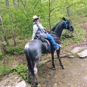 Meet your Posher, Dana